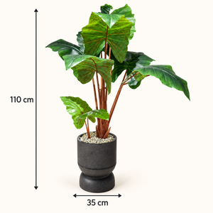 Plante Artificielle Alocasia à Grandes Feuilles Tachetées avec Pot Noir Effet Pierre sur Pied