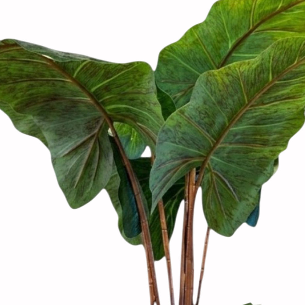 Alocasia Artificielle