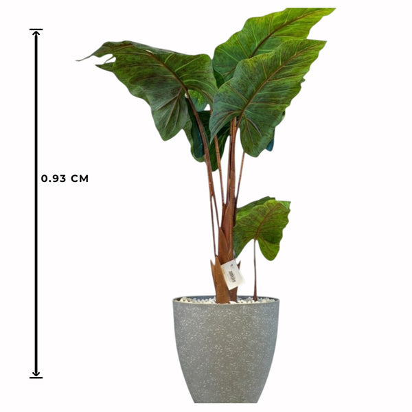 Alocasia Artificielle