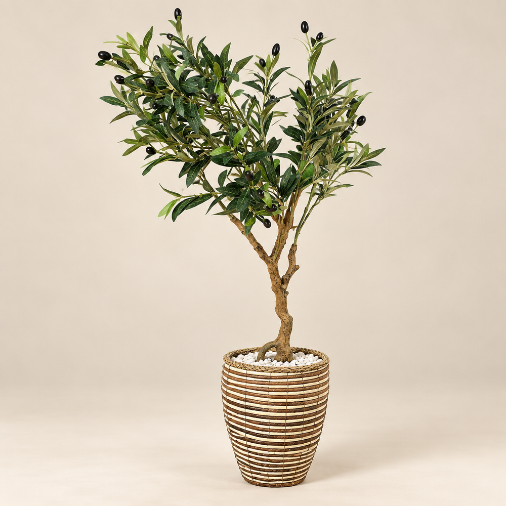 Olivier artificiel avec olives – Tronc naturel et cache-pot en fibre tressée bicolore