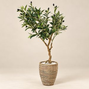 Olivier artificiel avec olives – Tronc naturel et cache-pot en fibre tressée bicolore