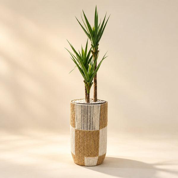 Plante Artificielle Yucca avec Pot Décoratif en Corde Naturelle