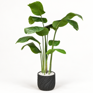 Strelitzia artificielle (oiseau de paradis) en pot noir sculpté – Plante haute effet naturel