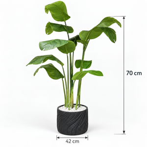 Strelitzia artificielle (oiseau de paradis) en pot noir sculpté – Plante haute effet naturel