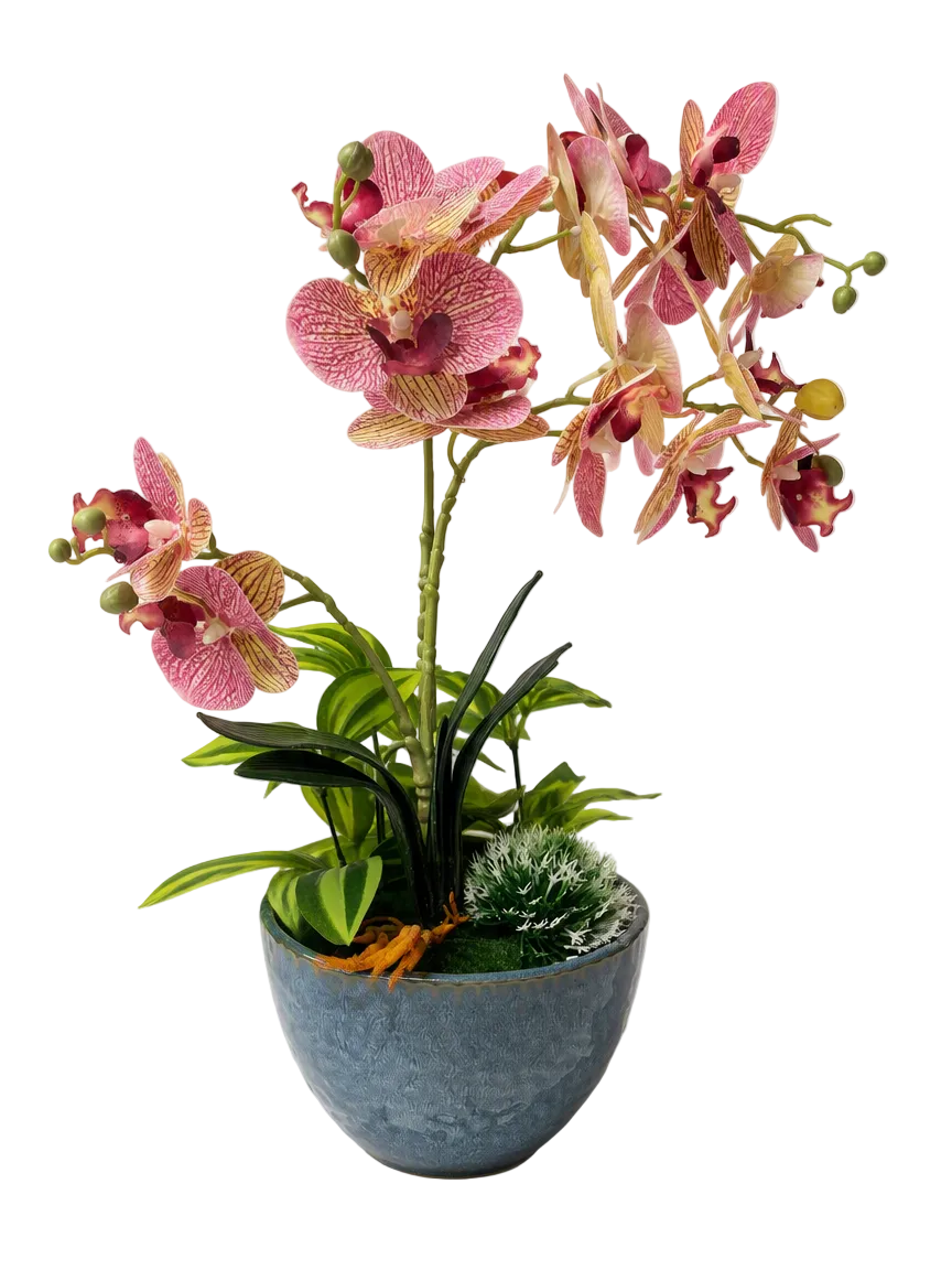 rtificial Striped Orchid in Textured Ceramic Pot