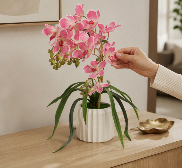 Orchidée Rose Élégance