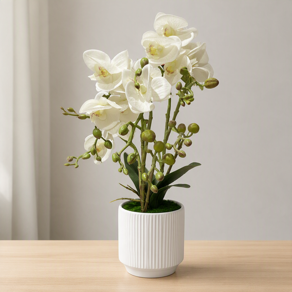 Orchidée artificielle blanche en pot cannelé