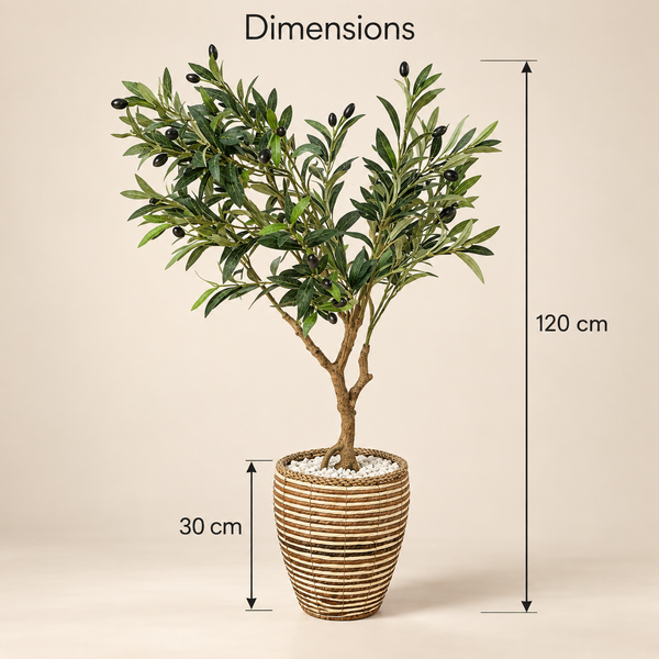 Olivier artificiel avec olives – Tronc naturel et cache-pot en fibre tressée bicolore