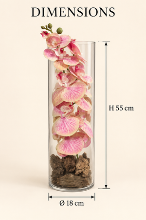 Orchidée rose sous cloche