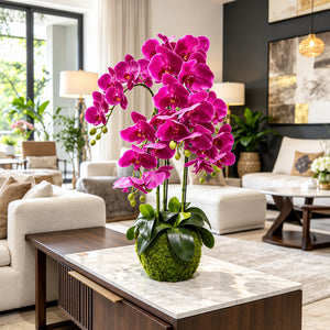 Orchidée Artificielle Phalaenopsis Fuchsia avec Pot en Mousse