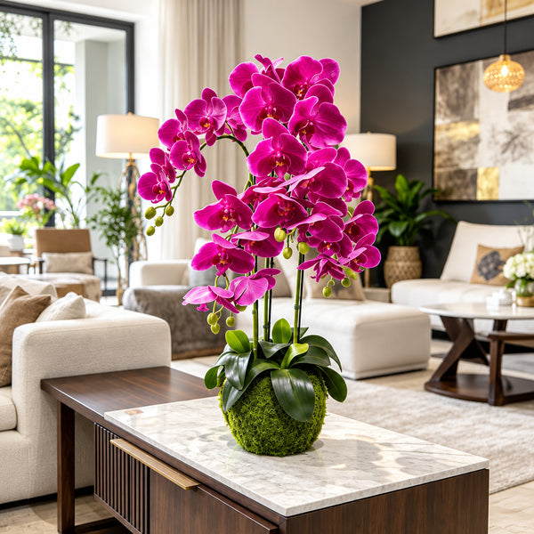 Orchidée Artificielle Phalaenopsis Fuchsia avec Pot en Mousse