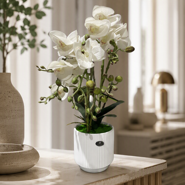 Orchidée artificielle blanche en pot cannelé