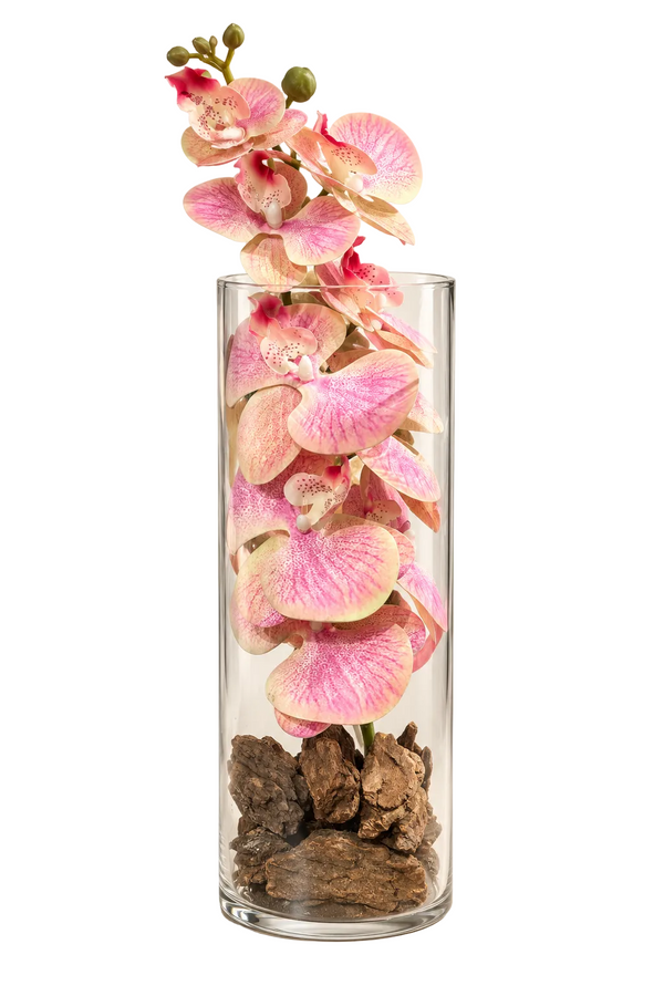 Orchidée rose sous cloche