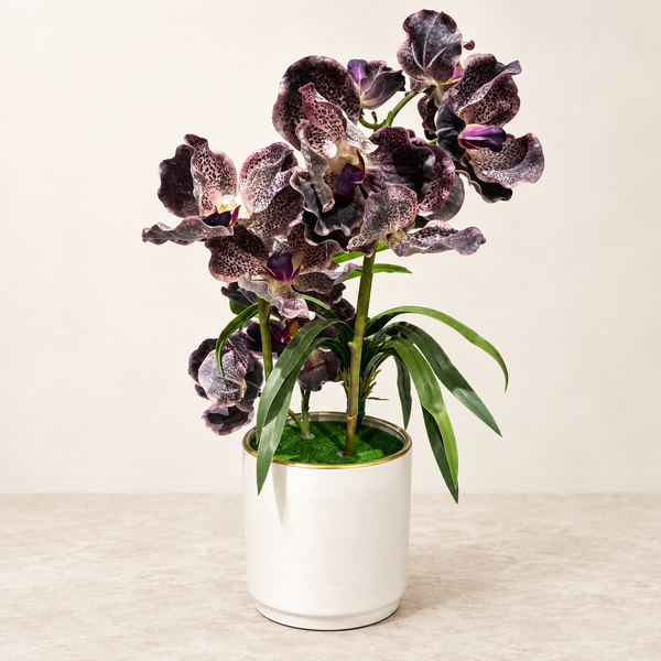 Orchidée Phalaenopsis Artificielle Violet Foncé