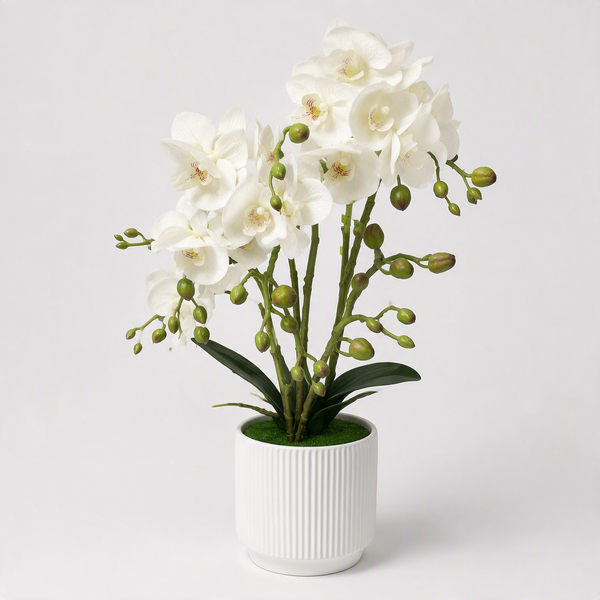 Orchidée artificielle blanche en pot cannelé