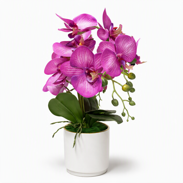 Orchidée Artificielle Rose Élégante