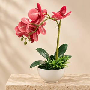 Orchidée Artificielle Rouge