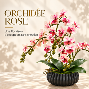 Orchidée Rose Artificielle – Pot Noir