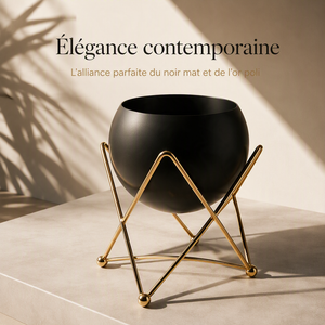 Black Planter on Gold Geometric Stand