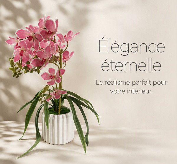 Orchidée Rose Élégance