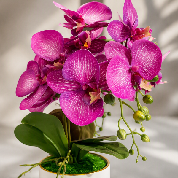 Orchidée Artificielle Rose Élégante
