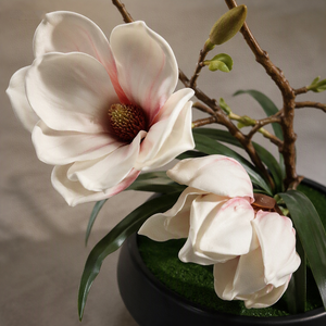 Arrangement de Magnolias Artificiels avec Pot Noir