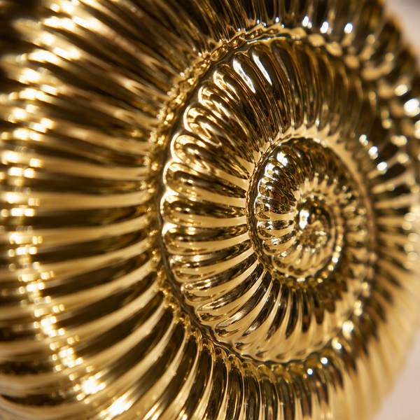 Gold Ammonite Shell Vase
